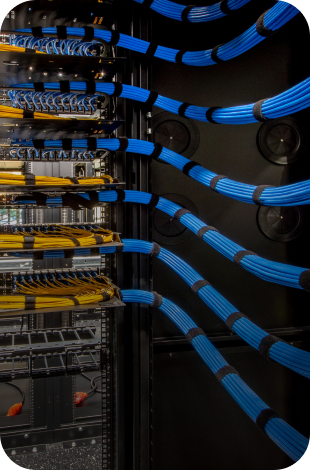 Service Fields Cover